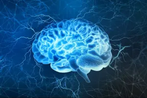 Brain Health