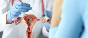 Gynecologists