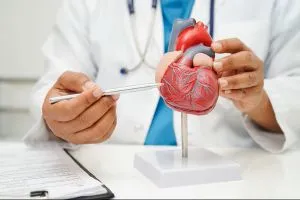 Cardiologists