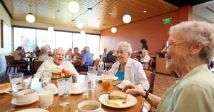 Assisted Living Centers
