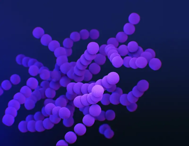 Nurturing Your Microbiome for Graceful Aging