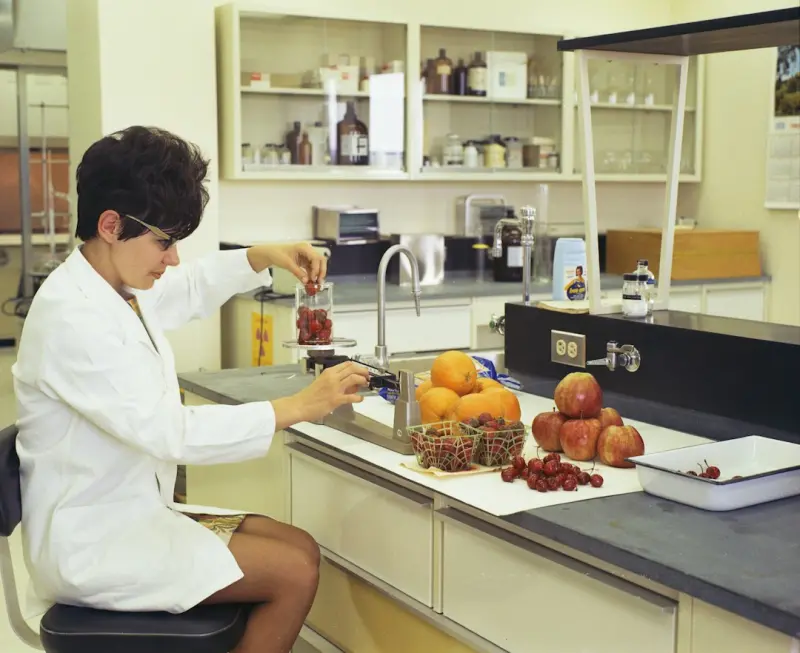 The Science of Nutrient Layering: Crafting Meals That Sharpen Focus and Boost Creativity - Your Health Directory