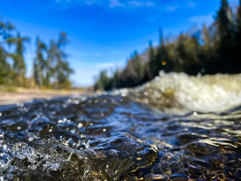 Micro-Progressive Hydration: Tiny Water Habits for Big Brain Gains