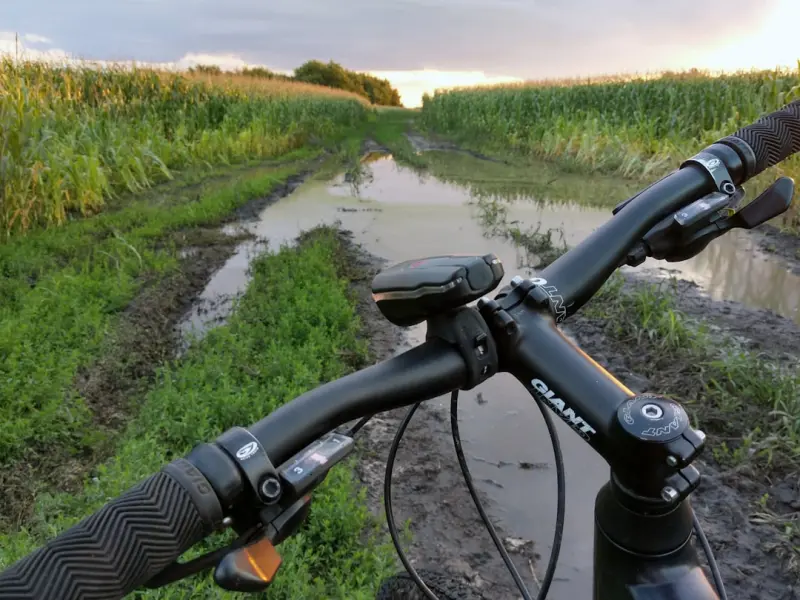 Tech-Enabled Trails: How Smart Outdoor Gear Is Redefining Senior Wellness - Your Health Directory