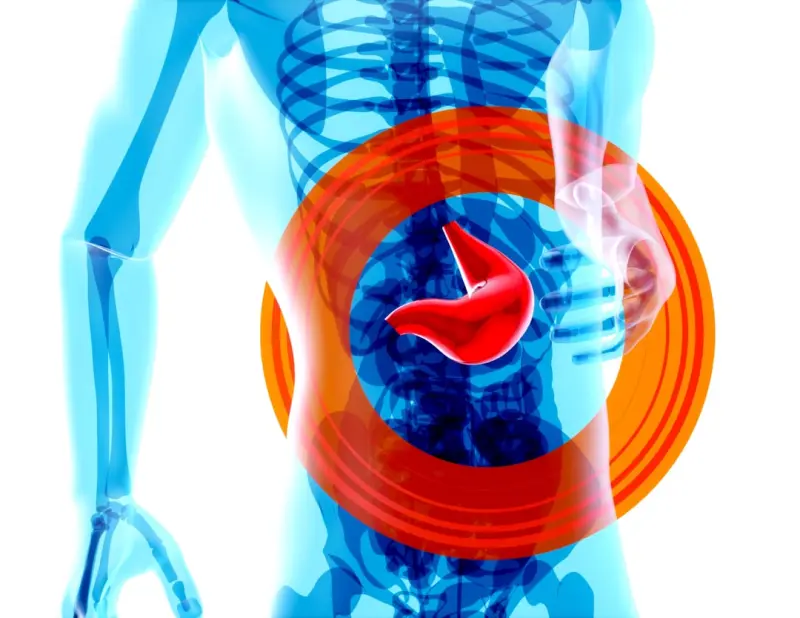 Nurturing Your Liver Through the Gut‑Liver Axis: A Personal Journey Nurturing Your Liver Through the Gut‑Liver Axis: A Personal Journey