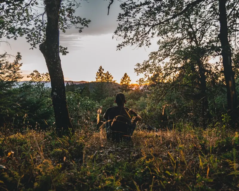 Finding Calm in the Wild: How Everyday Nature Can Rewire Your Mind