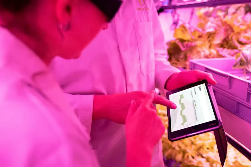 Why Your Microbiome Should Be Your Next Business KPI - Your Health Directory Why Your Microbiome Should Be Your Next Business KPI - Your Health Directory