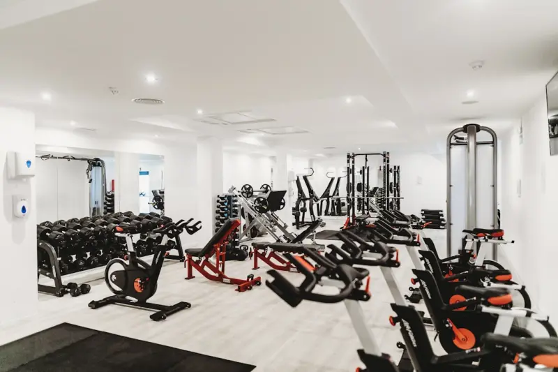 Beyond the Gym: How Everyday Systems Shape Your Muscle Gains Beyond the Gym: How Everyday Systems Shape Your Muscle Gains