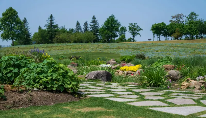 Designing Your Gut Landscape: A Fresh Guide to Microbial Mastery - Your Health Directory