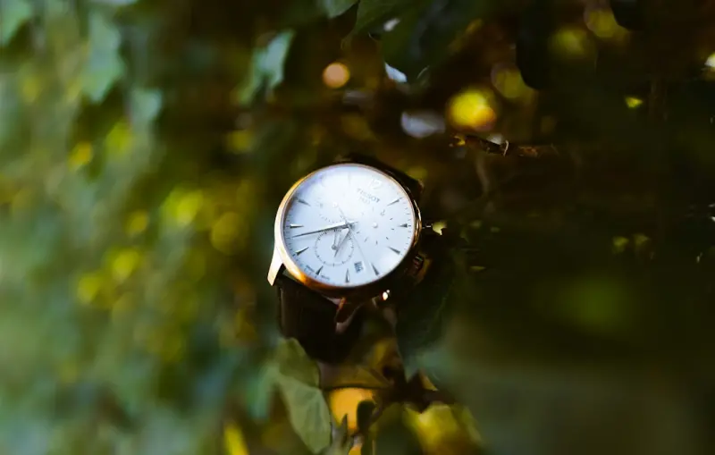 Chrono‑Nutrition: Aligning Meals with Your Body Clock for Healthy Aging - Your Health Directory