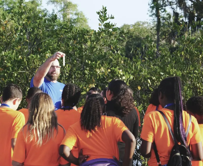 Nature’s Classroom: How Outdoor Immersion Supercharges Your Brain