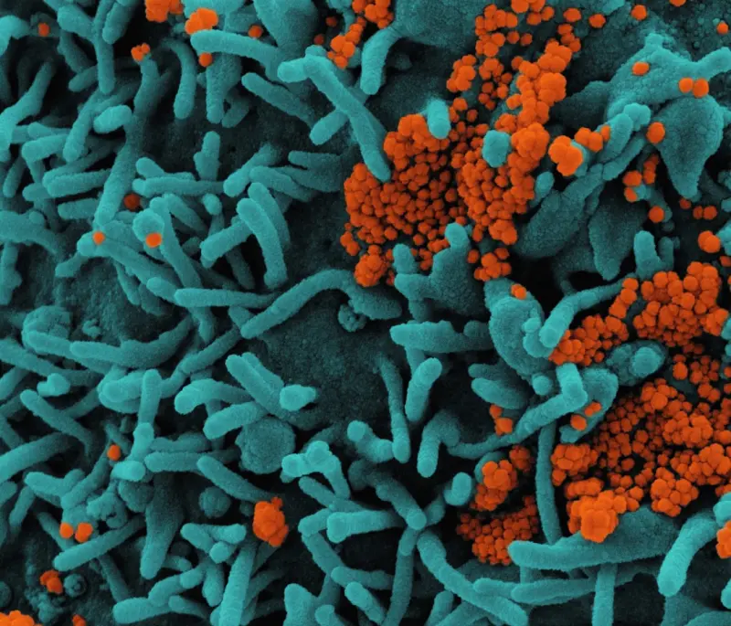 Microbial Mixology: Crafting a Gut That Thrives in a Hyperconnected World
