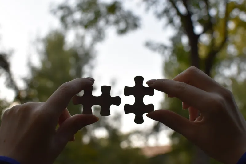 The Autoimmune Puzzle: Unraveling the Mystery of Chronic Inflammation The Autoimmune Puzzle: Unraveling the Mystery of Chronic Inflammation