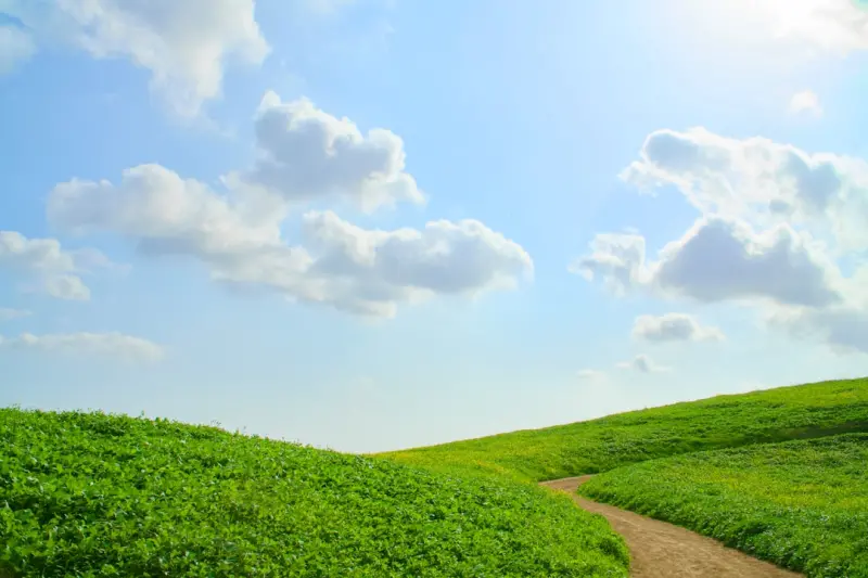 Cultivating Joyful Momentum: Fresh Paths to Vibrant Aging