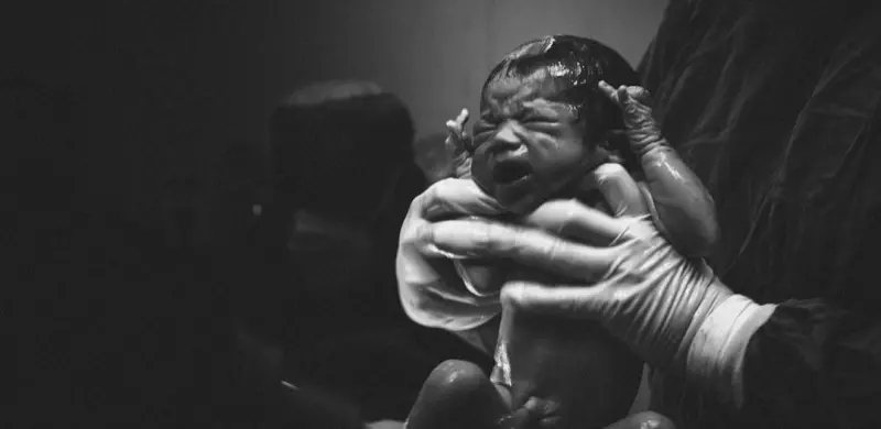 Crafting Your Pregnancy Narrative: From Storyboard to Birth Stage