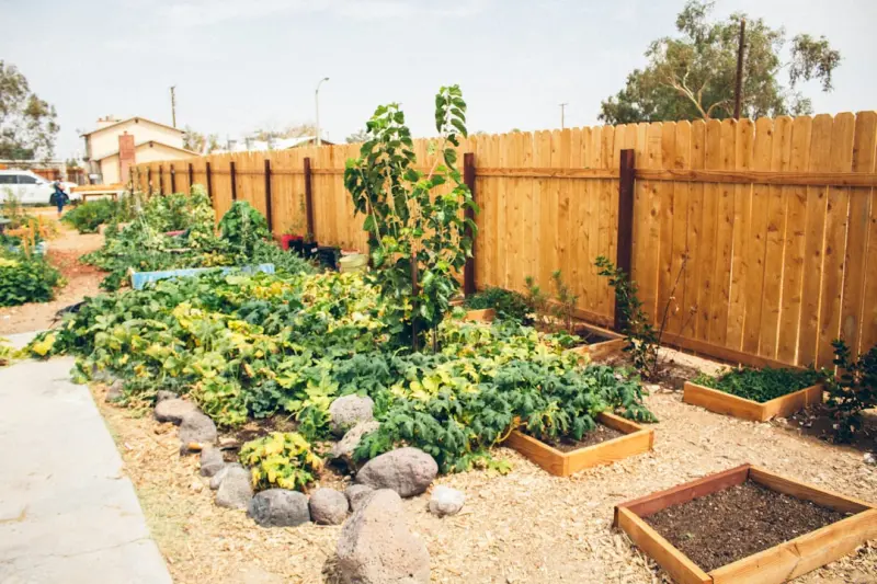 Digging Deep: Community Gardens as a Mental Health Remedy