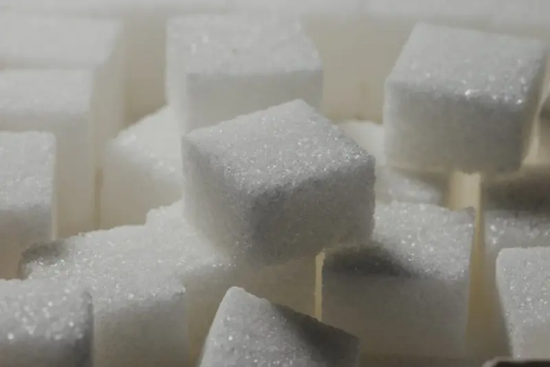 Turning Blood Sugar Into a Strategic Asset for High‑Performers - Your Health Directory