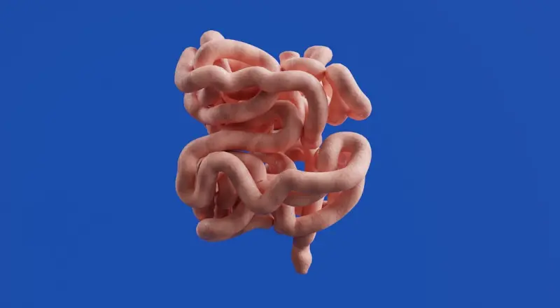 Cultivating a Brain‑Boosting Microbiome: How Your Gut Fuels Cognitive Sharpness