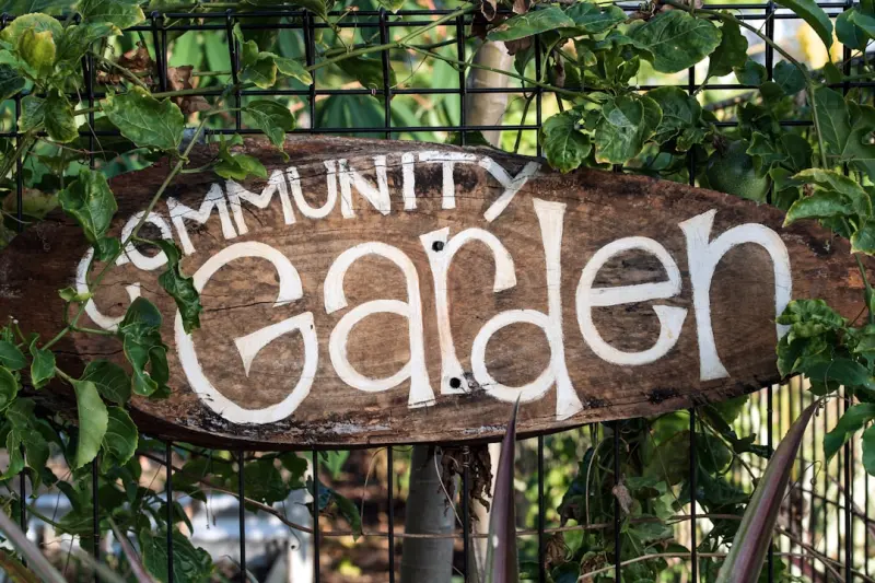 Cultivating Resilience: Community Gardens as a Healing Hub for Cancer Survivors - Your Health Directory Cultivating Resilience: Community Gardens as a Healing Hub for Cancer Survivors - Your Health Directory
