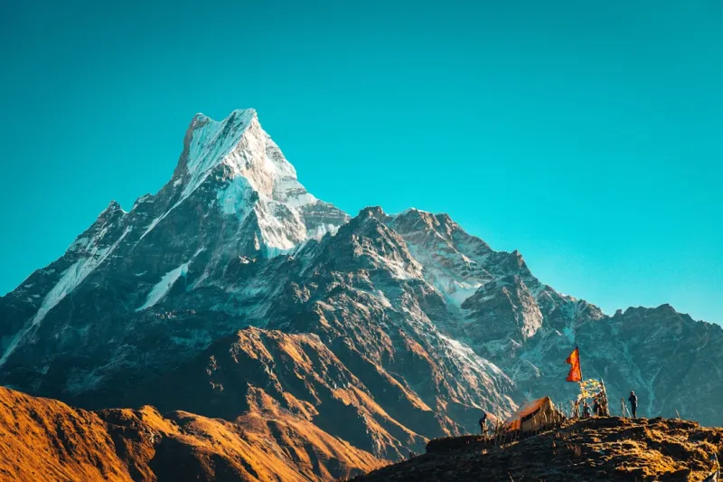 Nurturing Your Mind: A Holistic Guide to Peak Brain Health