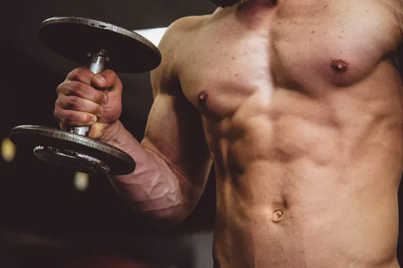 The Science of Muscle Gain: A Comprehensive Guide to Building Strength