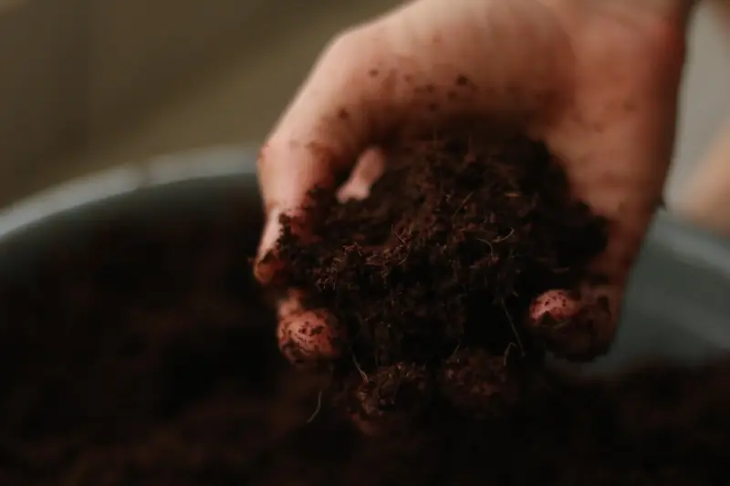 Rewiring Autoimmune Health: Soil‑Based Probiotics, Detox, and Daily Rituals