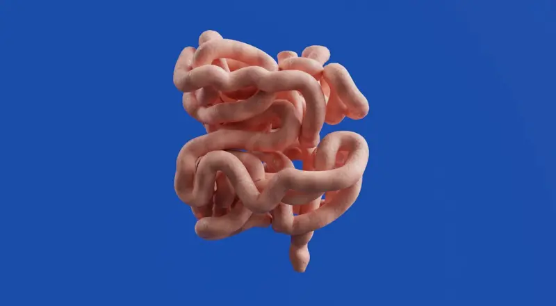 Rethinking Liver Health: The Microbiome‑Liver Connection and Digital Tools - Your Health Directory