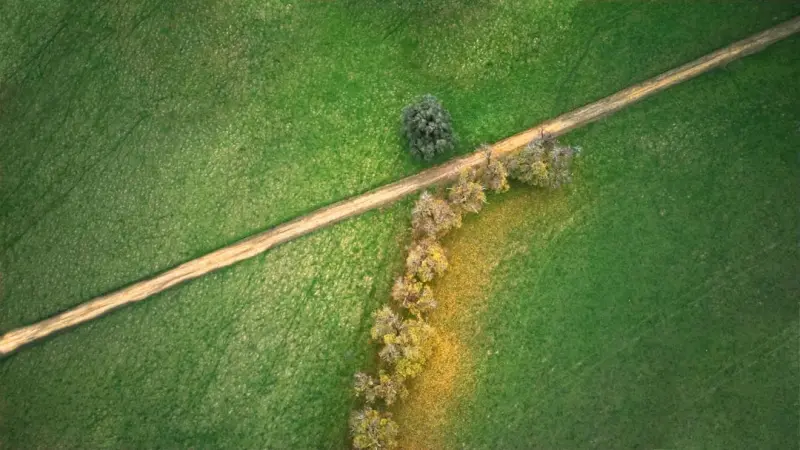 Beyond the Scale: Unconventional Paths to Reversing Prediabetes Beyond the Scale: Unconventional Paths to Reversing Prediabetes
