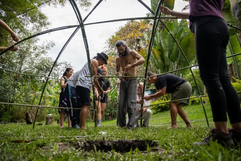 Rewilding Rehabilitation: How Nature and Play Transform Physiotherapy