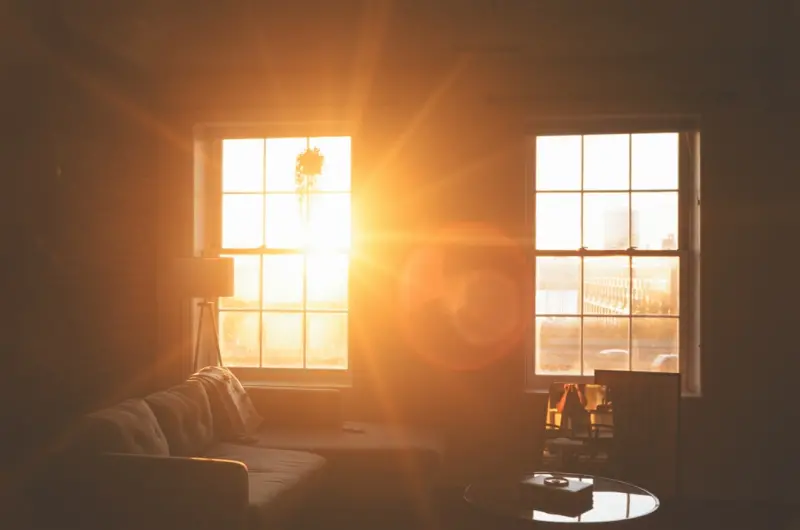 Chasing Daylight: How Sunlight Timing Rewrites Your Body’s Blueprint