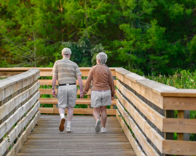 The Intersection of Aging and Chronic Health Conditions: A Holistic Approach to Senior Health