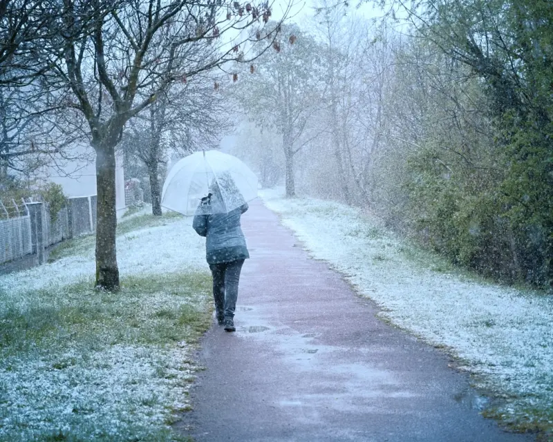 Cold Exposure: A Fresh Path to Longevity and Vitality Cold Exposure: A Fresh Path to Longevity and Vitality