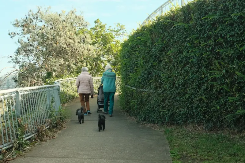 Intergenerational Connections: A Fresh Path to Senior Wellness - Your Health Directory