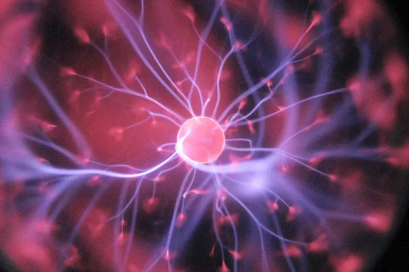 Neurobics for the Modern Mind: Small Actions, Big Brain Gains