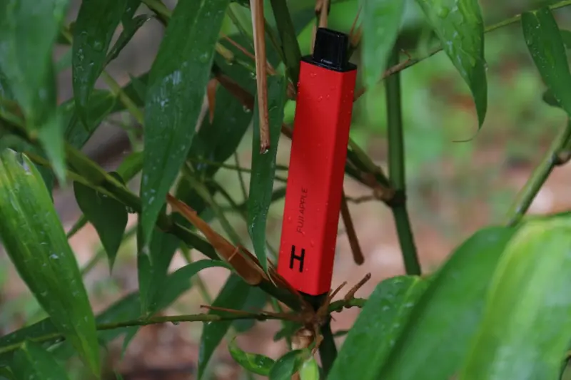 The Hidden Carbon Footprint of Disposable Vapes: A Path to a Cleaner Habit - Your Health Directory