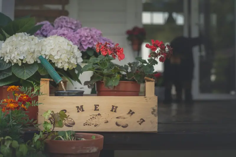 Memory Gardening: Cultivating Brain Health and Joy in Later Life