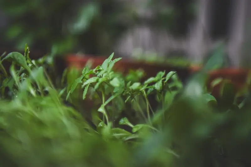 Green Beginnings: Eco‑Friendly Practices for a Healthier Pregnancy