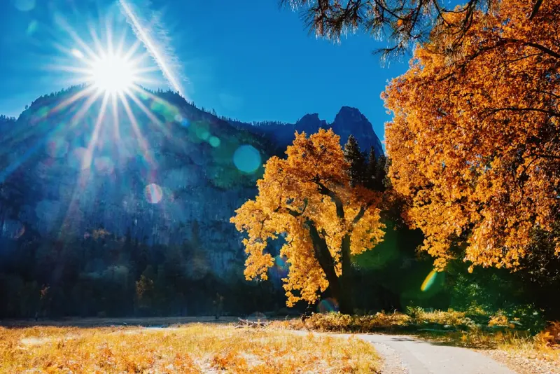 Seasonal Shifts: Tuning Your Gut to Nature’s Calendar