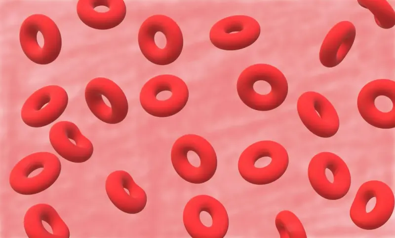 How Your Home’s Air and Light Shape Blood Sugar Balance - Your Health Directory