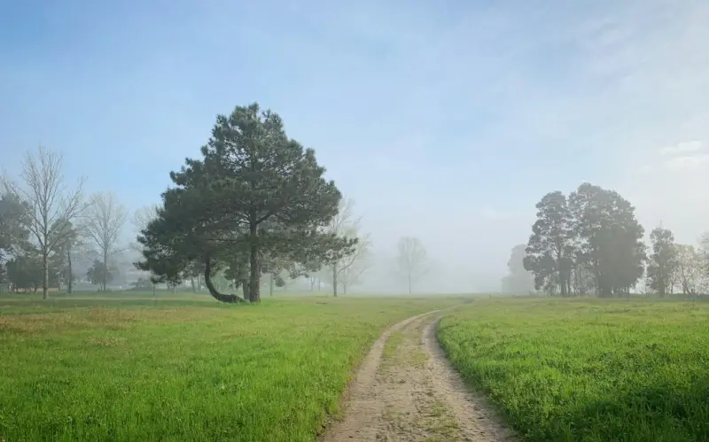 Seasonal Gardening: A Fresh Path to Healthy Aging - Your Health Directory