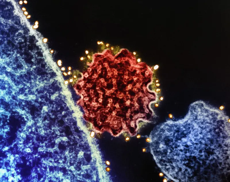 When Data Meets the Immune System: Real‑Time Tracking Redefines Autoimmune Care When Data Meets the Immune System: Real‑Time Tracking Redefines Autoimmune Care