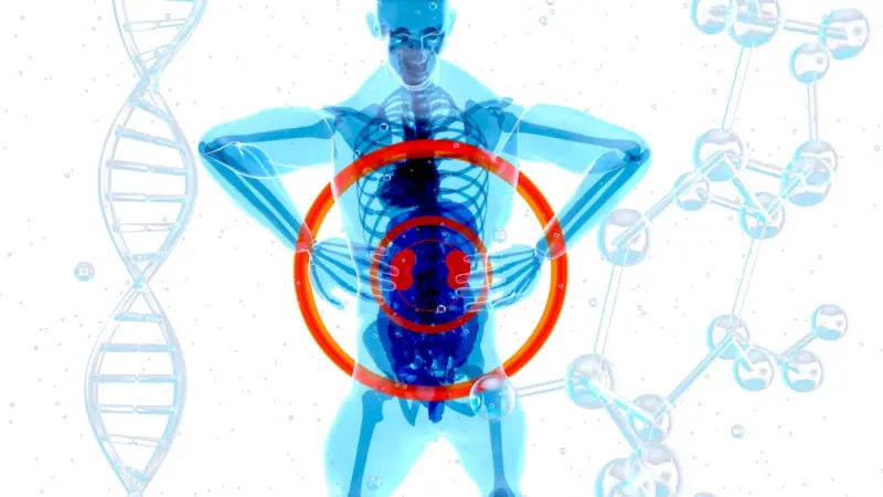 Living with Autoimmune Disease: Turning Chaos into Data‑Driven Narrative - Your Health Directory Living with Autoimmune Disease: Turning Chaos into Data‑Driven Narrative - Your Health Directory