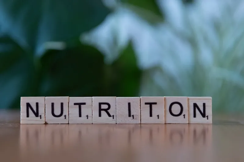 The Role of Nutrition in Cancer Prevention: A Holistic Approach The Role of Nutrition in Cancer Prevention: A Holistic Approach