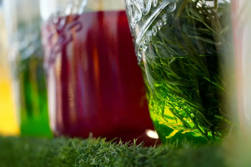 Fermentation Frontiers: How Ancient Techniques Supercharge Modern Nutrition - Your Health Directory Fermentation Frontiers: How Ancient Techniques Supercharge Modern Nutrition - Your Health Directory