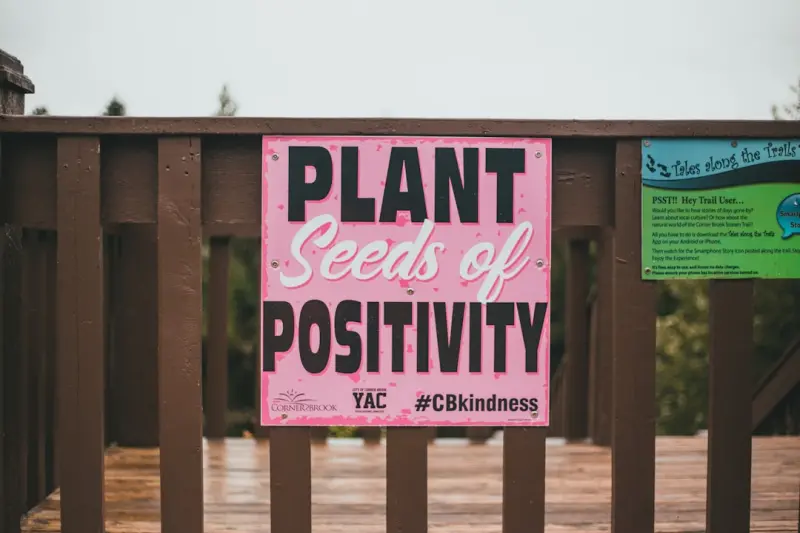 How Vaping Communities Are Shaping Identity and Wellness