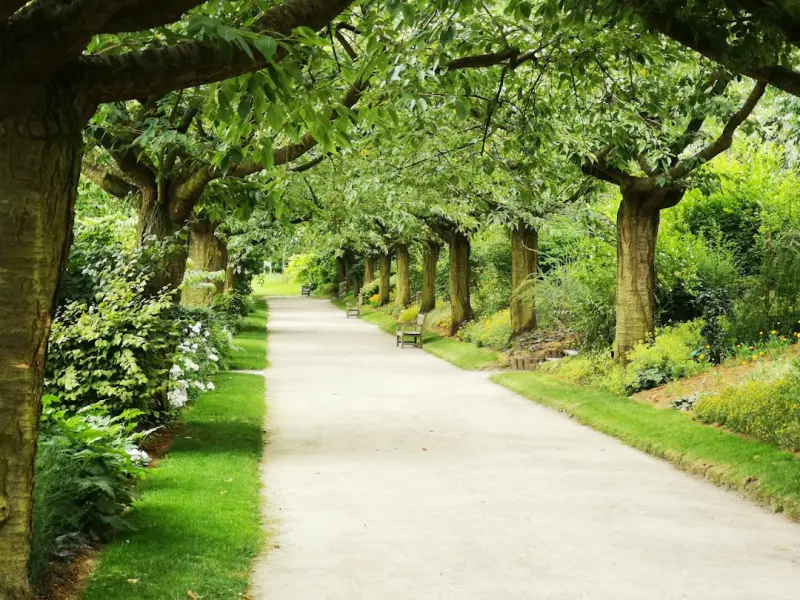 Garden Paths to Longevity: How Seniors Thrive Through Community Greenspaces Garden Paths to Longevity: How Seniors Thrive Through Community Greenspaces