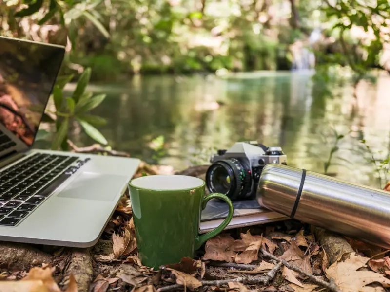 Reclaiming Focus: A Practical Digital Detox for Brain Health