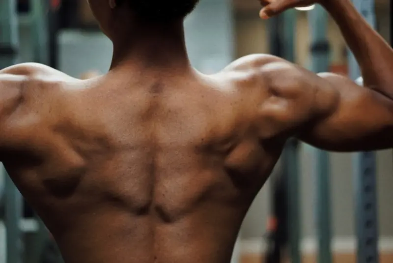 Unlocking Muscle Memory: The Secret Shortcut to Faster Gains Unlocking Muscle Memory: The Secret Shortcut to Faster Gains