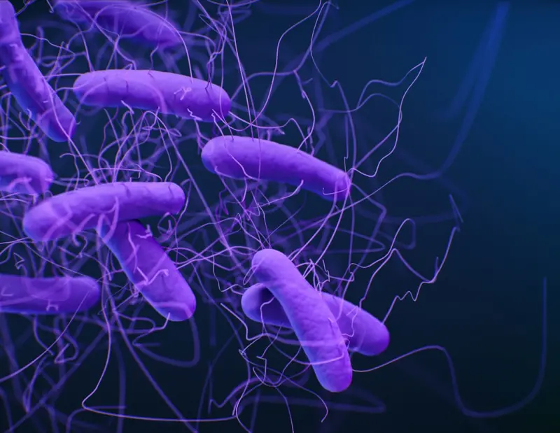 Gut Microbiome Mastery: A Fresh Path to Stable Blood Sugar - Your Health Directory