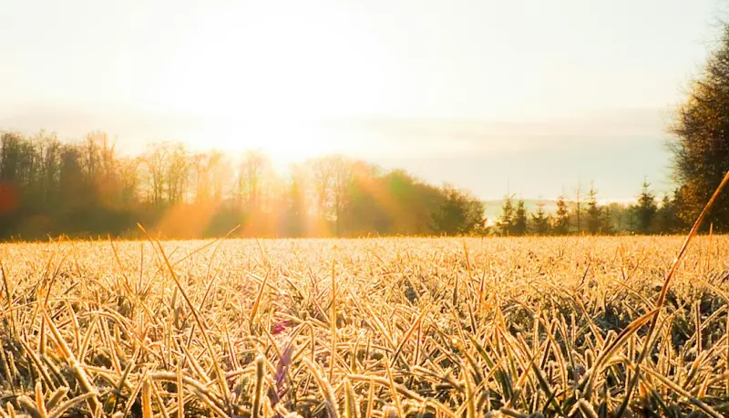 Seasonal Climate Hacks: Redefining Autoimmune Care One Weather Pattern at a Time - Your Health Directory